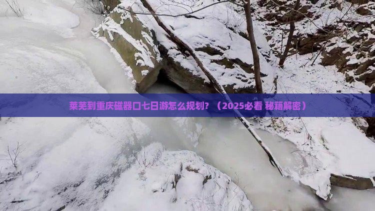 莱芜到重庆磁器口七日游