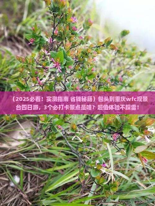 包头到重庆wfc观景台四日游