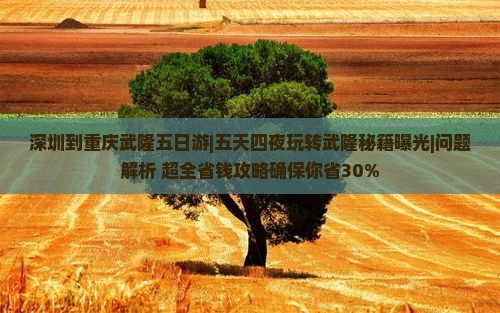 深圳到重庆武隆五日游