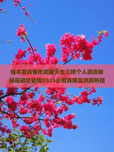 佳木斯去重庆武隆天生三桥个人游