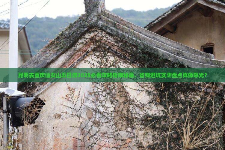 昆明去重庆仙女山五日游