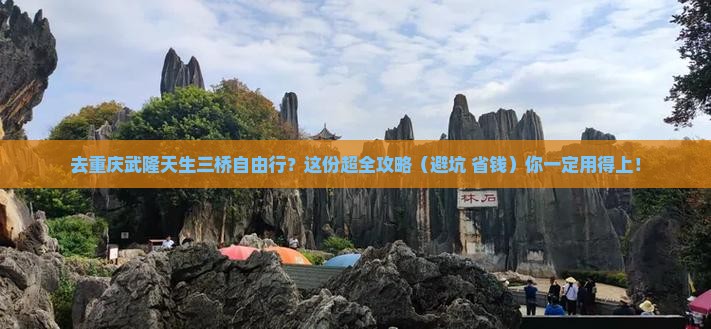 海北去重庆武隆天生三桥自由团