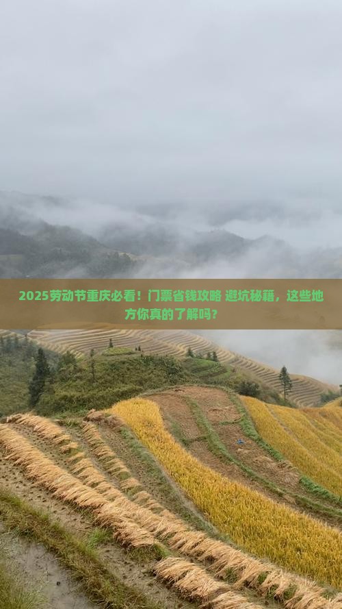 劳动节到重庆门票