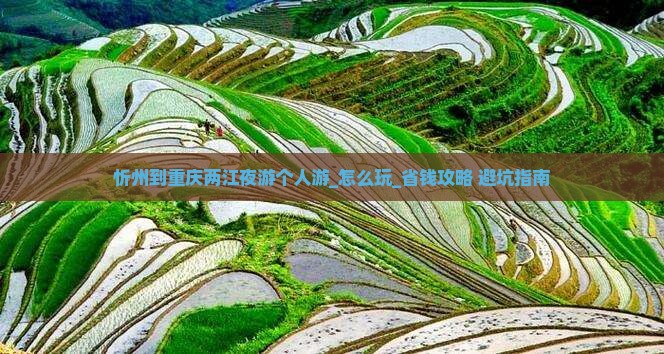 忻州到重庆两江夜游个人游