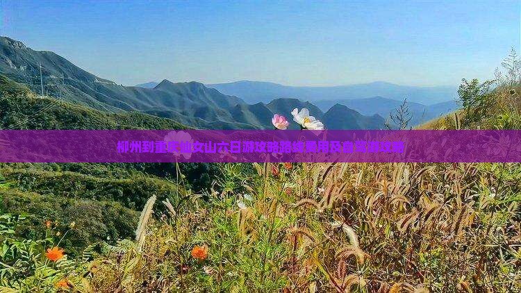 柳州到重庆仙女山六日游