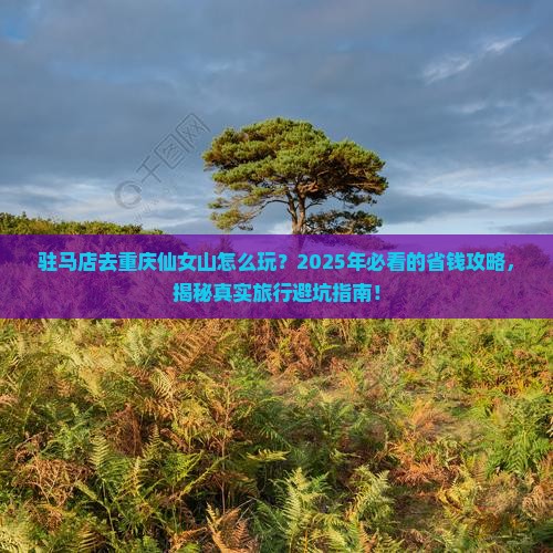 驻马店去重庆仙女山旅行社