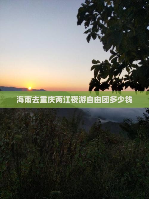 海南去重庆两江夜游自由团