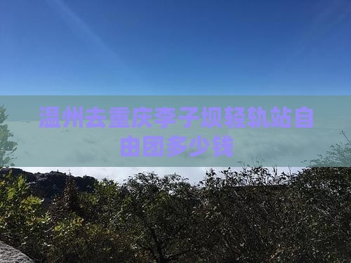 温州去重庆李子坝轻轨站自由团