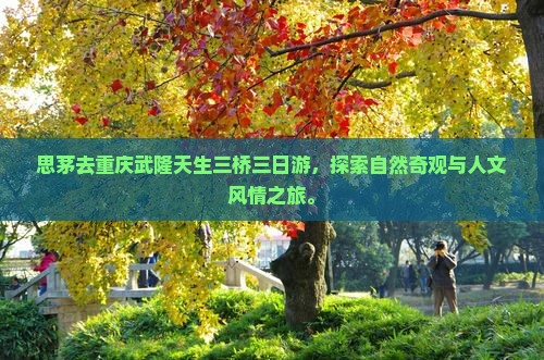 思茅去重庆武隆天生三桥三日游