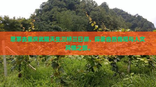 思茅去重庆武隆天生三桥三日游