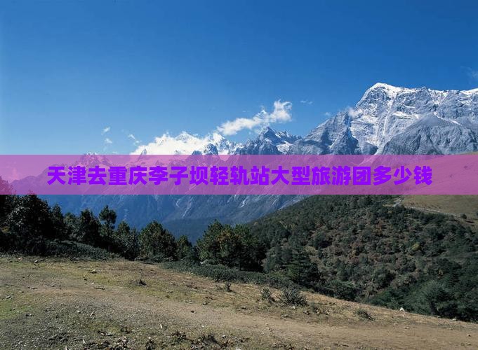 天津去重庆李子坝轻轨站大型旅游团