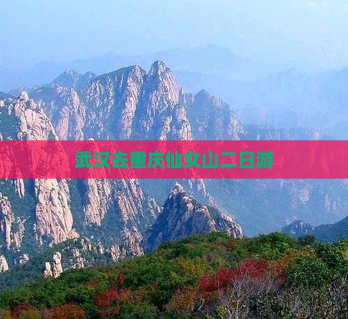 武汉去重庆仙女山二日游