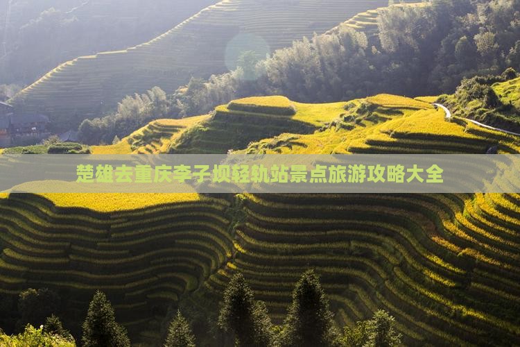 楚雄去重庆李子坝轻轨站景点 楚雄去重庆李子坝轻轨站景点