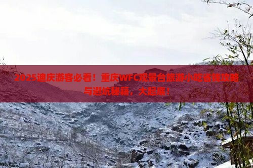 迪庆去重庆wfc观景台旅游小吃