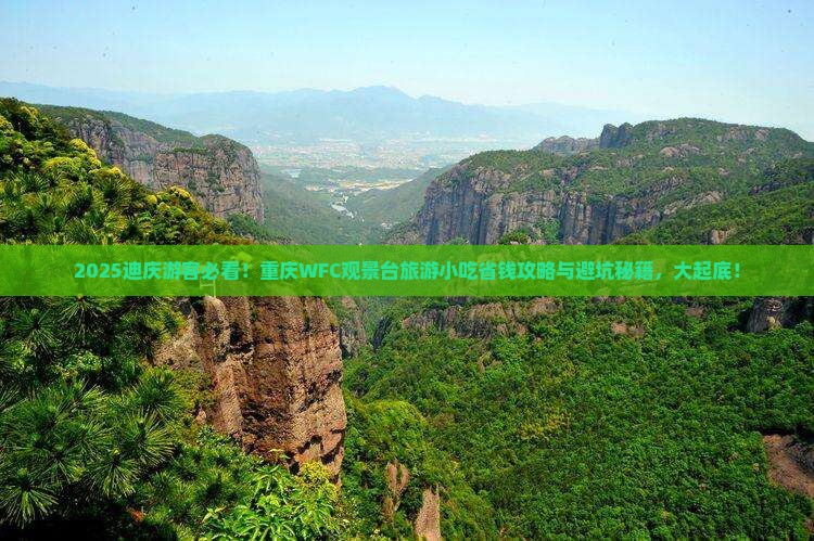 迪庆去重庆wfc观景台旅游小吃