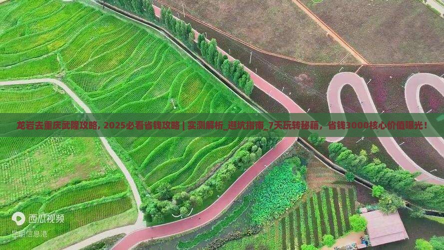 龙岩去重庆武隆攻略