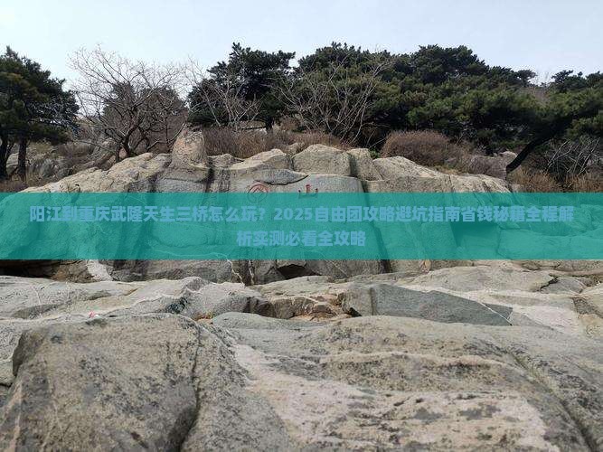 阳江到重庆武隆天生三桥自由团