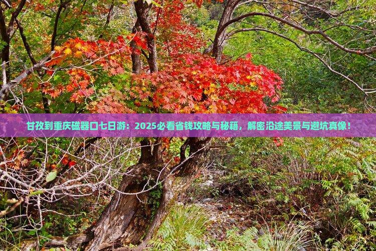 甘孜到重庆磁器口七日游