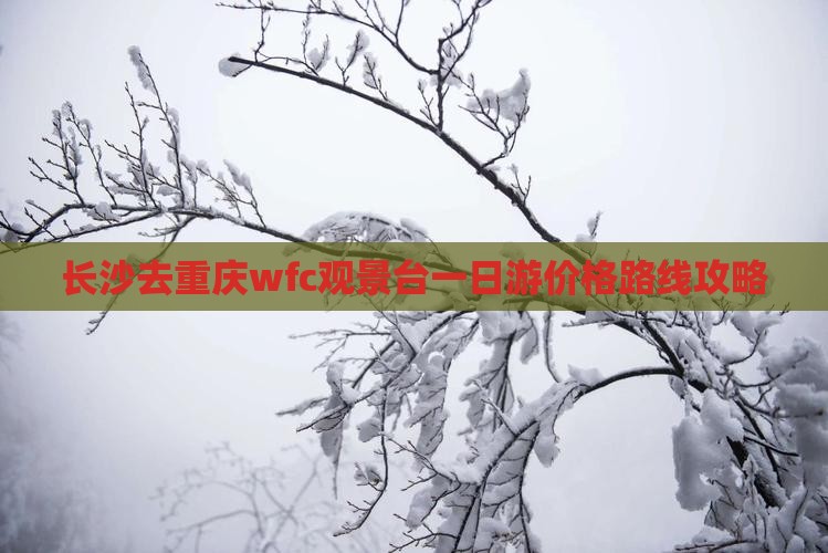 长沙去重庆wfc观景台一日