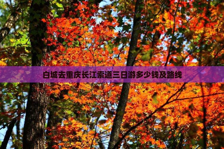 白城去重庆长江索道三日游