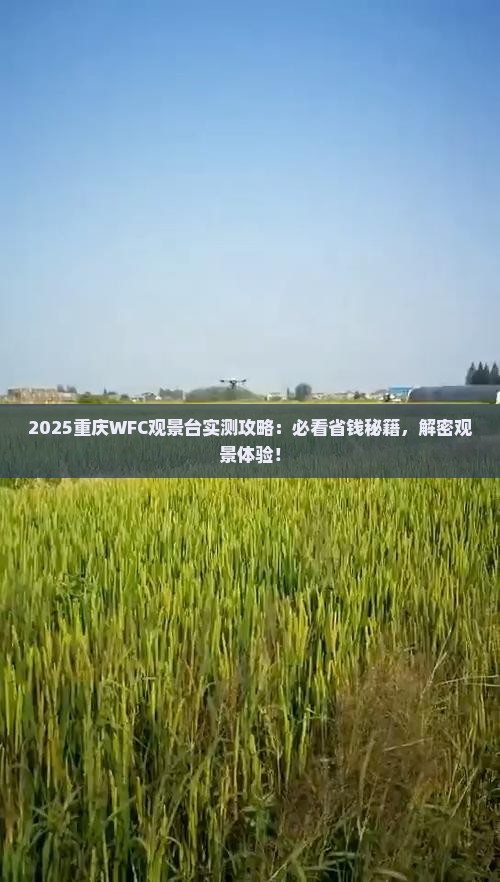 二月去重庆wfc观景台一日