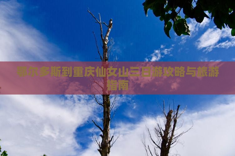 鄂尔多斯到重庆仙女山三日游