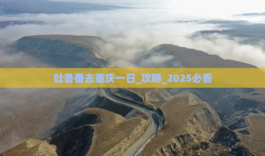 吐鲁番去重庆一日