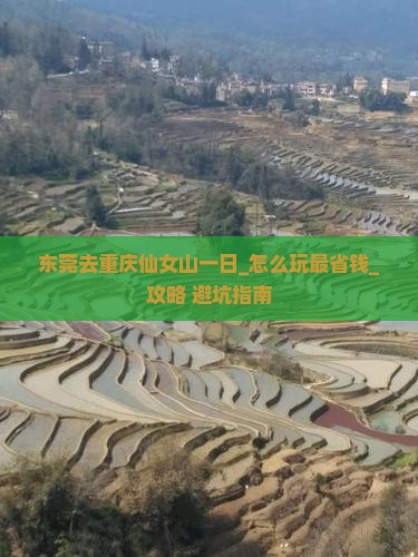 东莞去重庆仙女山一日