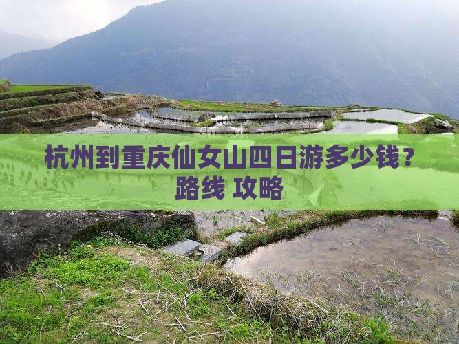 杭州到重庆仙女山四日游多少钱？路线+攻略