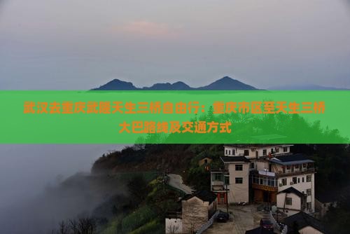武汉去重庆武隆天生三桥自由行：重庆市区至天生三桥大巴路线及交通方式