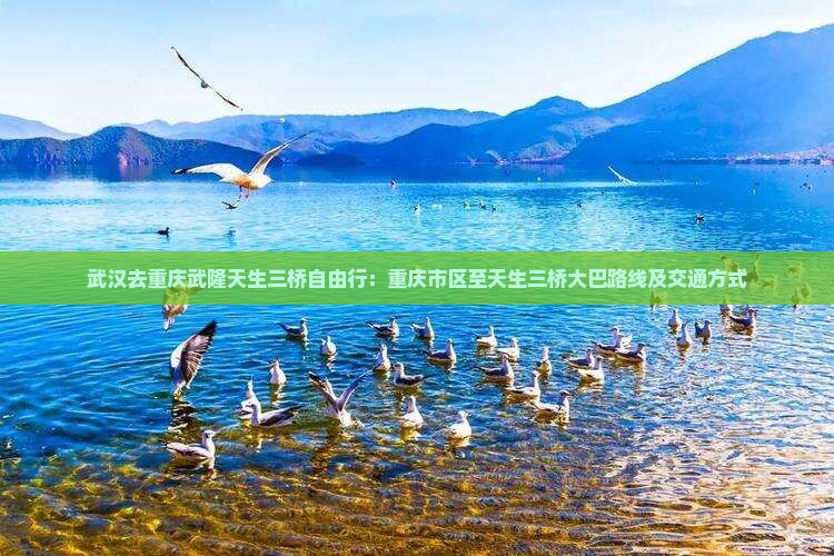 武汉去重庆武隆天生三桥自由行：重庆市区至天生三桥大巴路线及交通方式