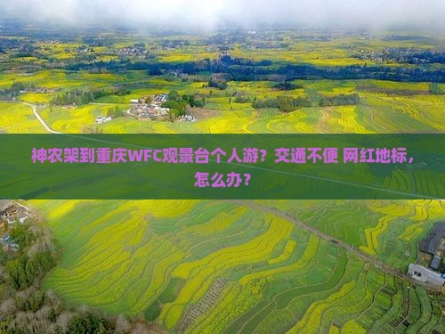 神农架到重庆WFC观景台个人游？交通不便+网红地标，怎么办？