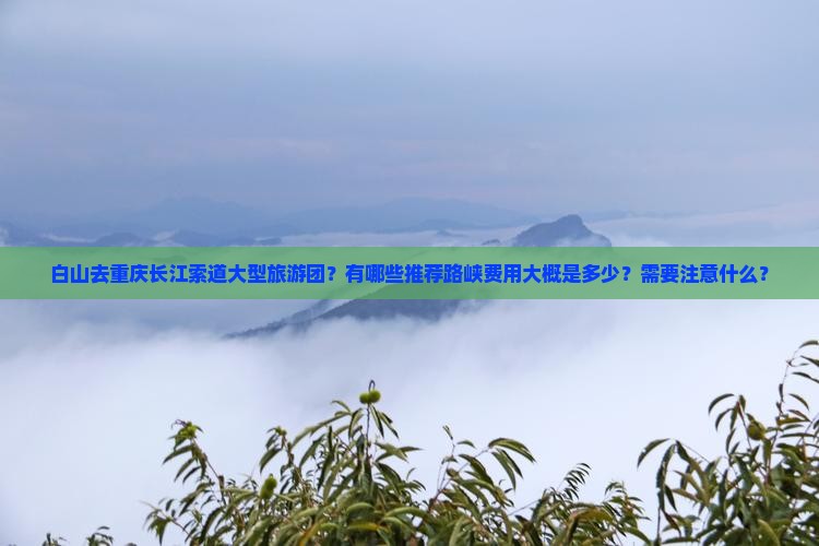 白山去重庆长江索道大型旅游团？有哪些推荐路峡费用大概是多少？需要注意什么？
