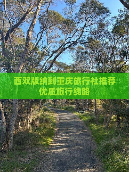 西双版纳到重庆旅行社推荐优质旅行线路