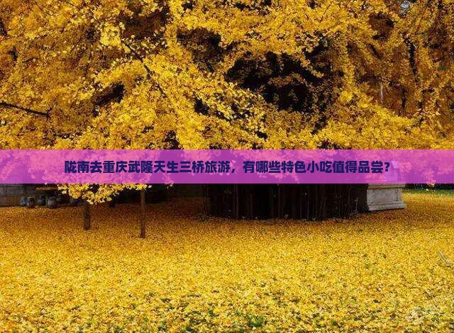 陇南去重庆武隆天生三桥旅游，有哪些特色小吃值得品尝？