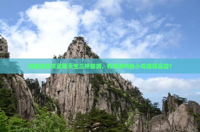 陇南去重庆武隆天生三桥旅游，有哪些特色小吃值得品尝？