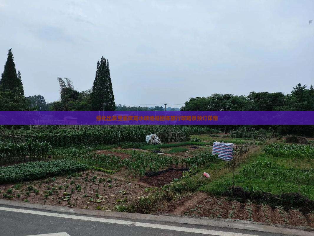 绥化出发至重庆龙水峡地缝团体旅行攻略及预订详情