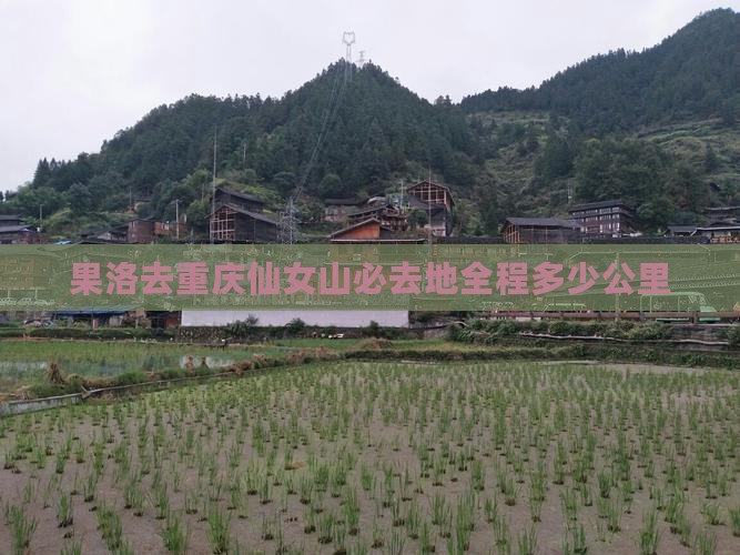 果洛去重庆仙女山必去地全程多少公里