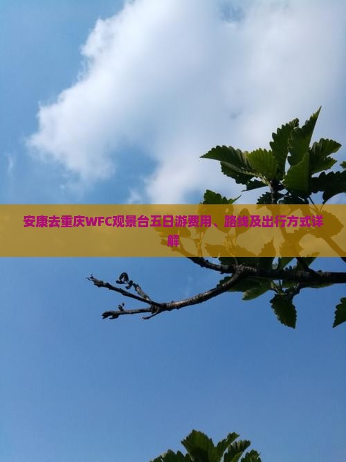 安康去重庆WFC观景台五日游费用、路线及出行方式详解