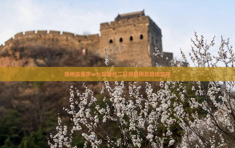 泉州去重庆wfc观景台二日游费用及路线攻略