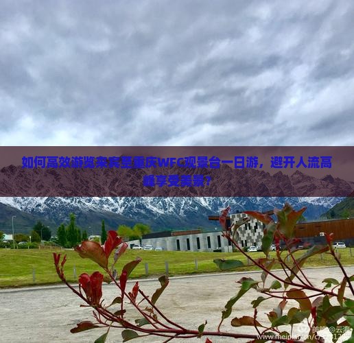 如何高效游览来宾至重庆WFC观景台一日游，避开人流高峰享受美景？
