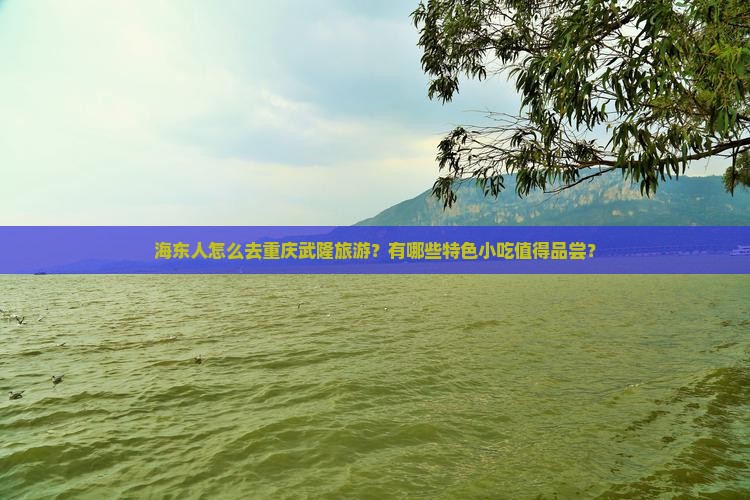 海东人怎么去重庆武隆旅游？有哪些特色小吃值得品尝？