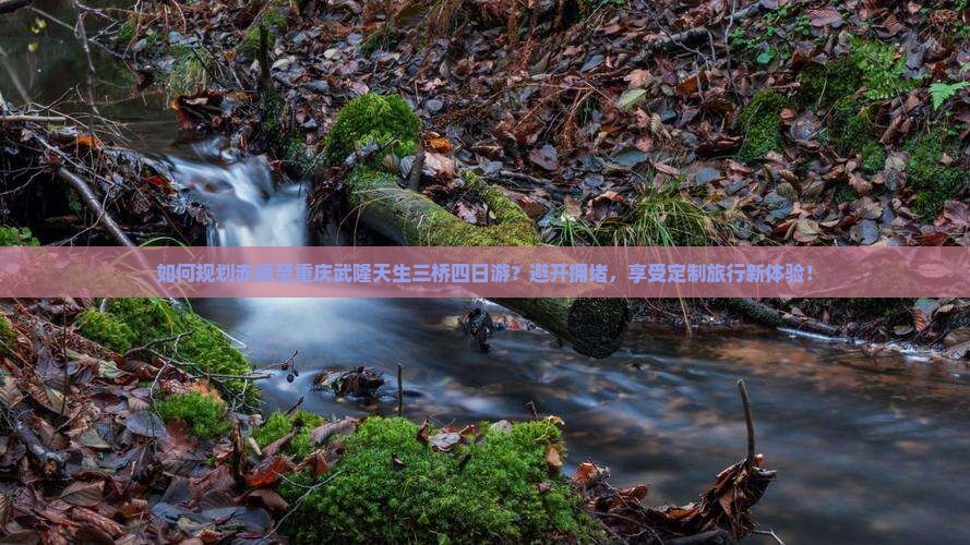 如何规划赤峰至重庆武隆天生三桥四日游？避开拥堵，享受定制旅行新体验！