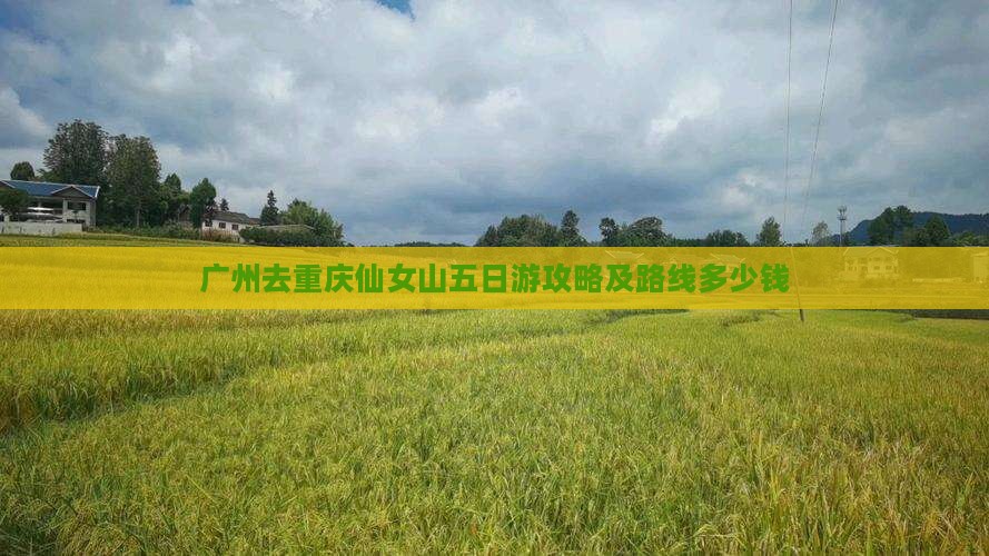 广州去重庆仙女山五日游攻略及路线多少钱