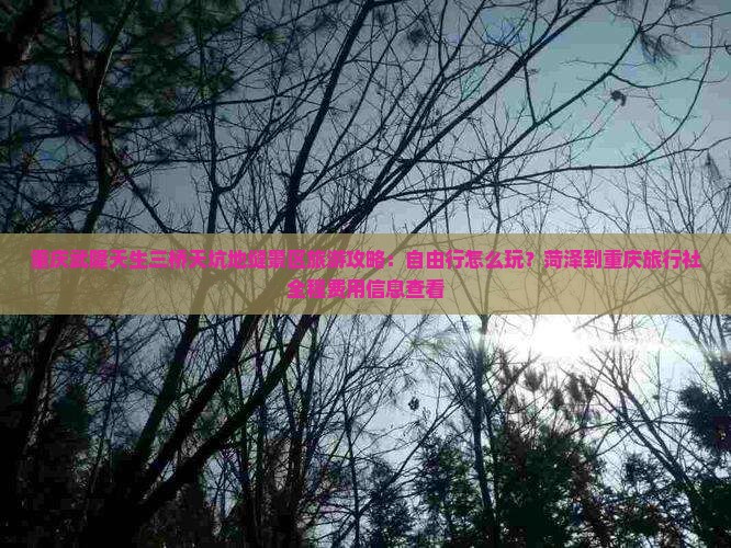重庆武隆天生三桥天坑地缝景区旅游攻略：自由行怎么玩？菏泽到重庆旅行社全程费用信息查看