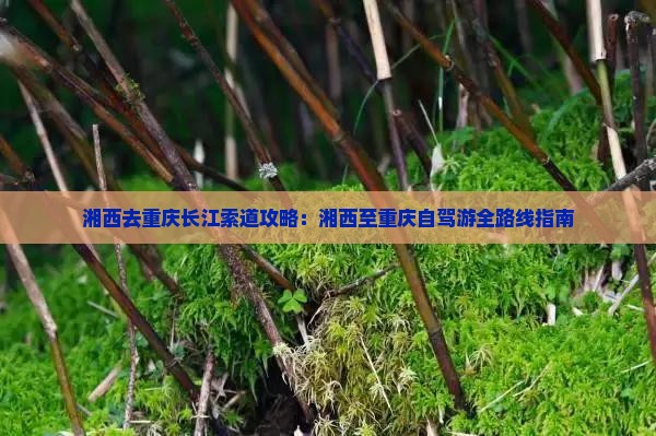 湘西去重庆长江索道攻略：湘西至重庆自驾游全路线指南