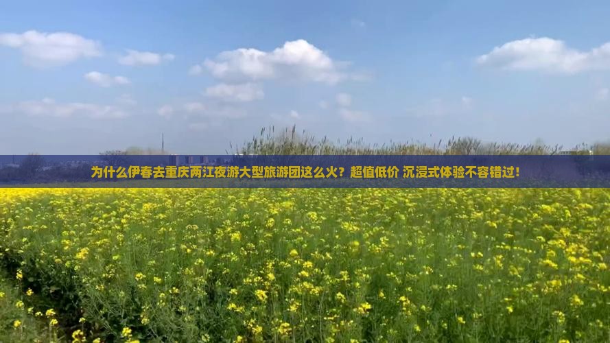 为什么伊春去重庆两江夜游大型旅游团这么火？超值低价+沉浸式体验不容错过！