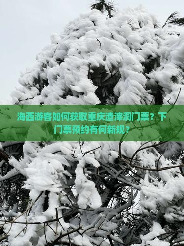 海西游客如何获取重庆渣滓洞门票？下门票预约有何新规？