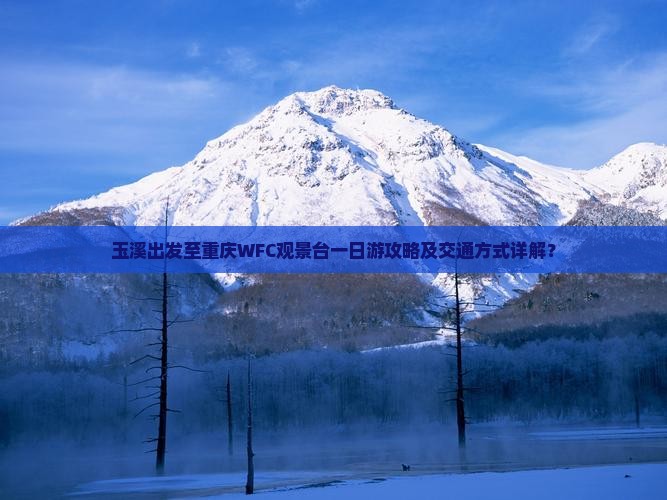 玉溪出发至重庆WFC观景台一日游攻略及交通方式详解？
