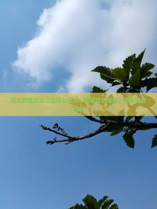海北到重庆乌江画廊七日游：探秘自然奇观，领略两地风情